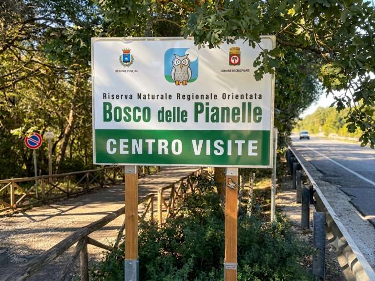 Martina Franca investe sul Bosco delle Pianelle: oltre un milione dalla Regione per la riforestazione e la tutela del territorio