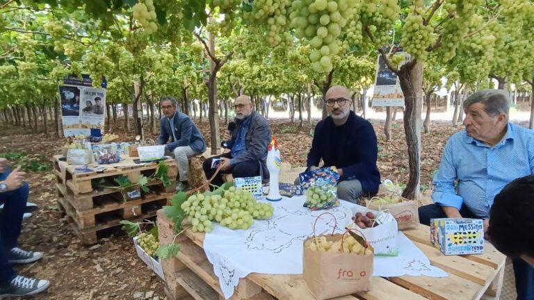 Rutigliano celebra l’uva da tavola: la 62ª Sagra parte dai vigneti, domenica LDA e Aka 7even